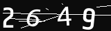 verifycode